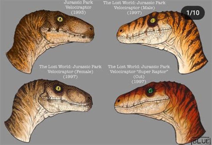CAN A Bola stop an alpha raptor?