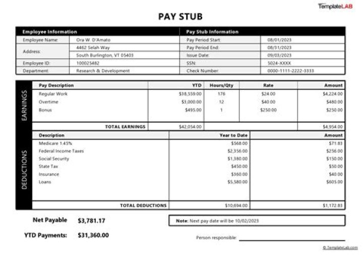 Can the IRS take my entire paycheck?