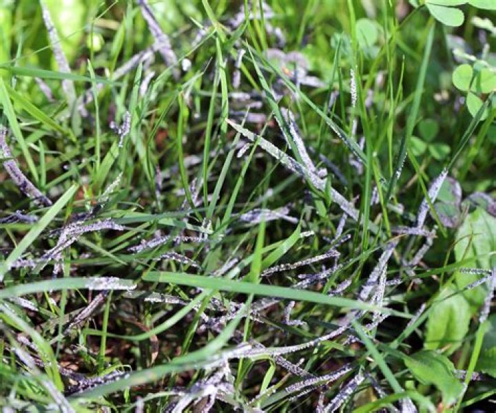Can you drift on grass?
