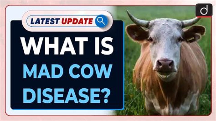 Can you survive mad cow disease?