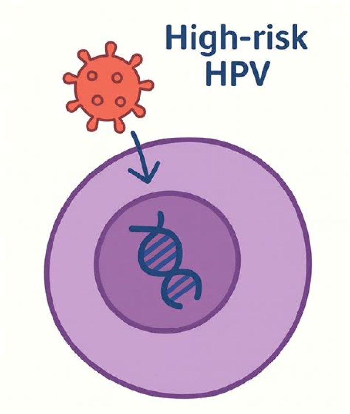 Do high-risk HPV strains go away?