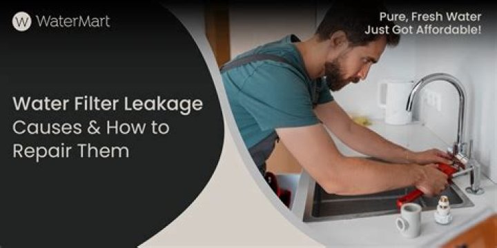 Does a water filter remove lead?