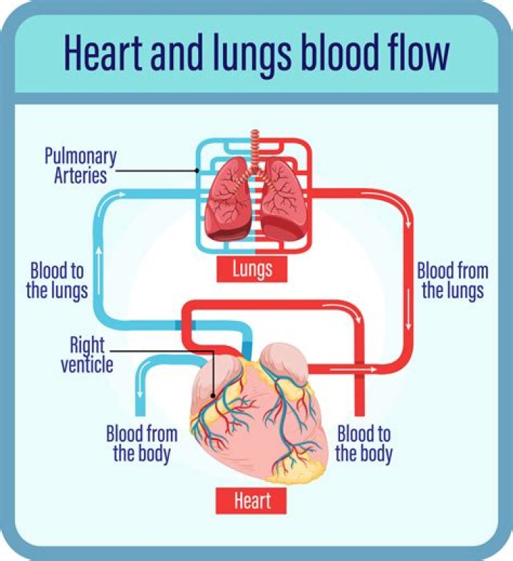 Does clapping help the heart?