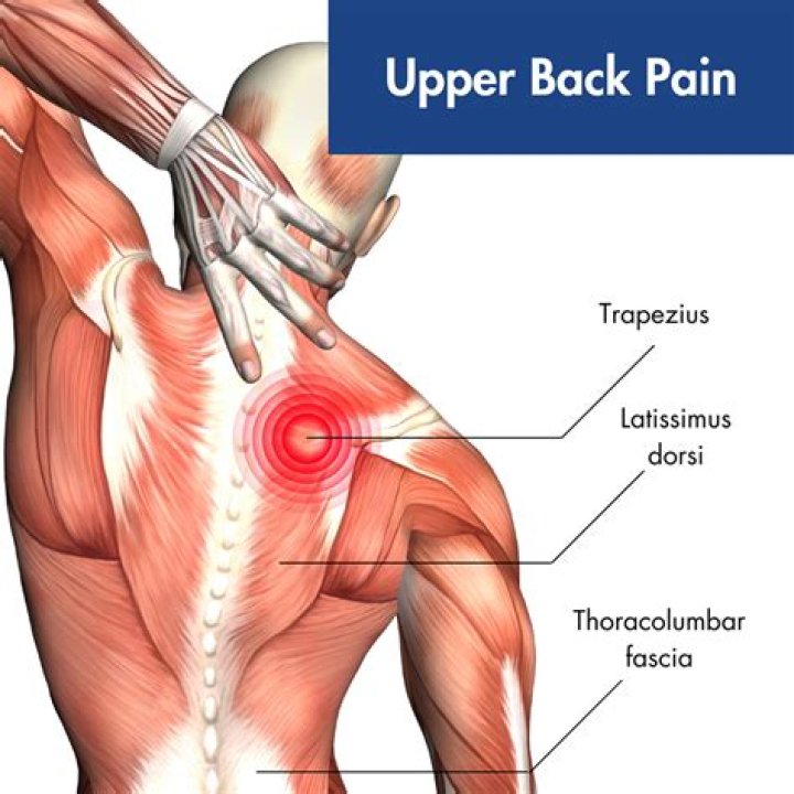 Does EBV cause muscle pain?