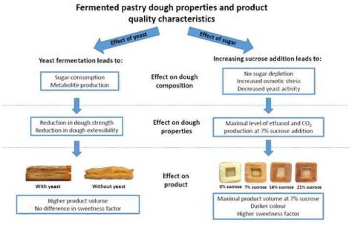 Does fermentation require sunlight?