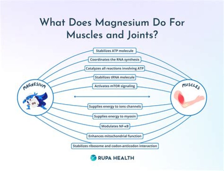 Does magnesium help adrenal fatigue?