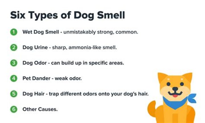Does the smell of a dog keep rats away?