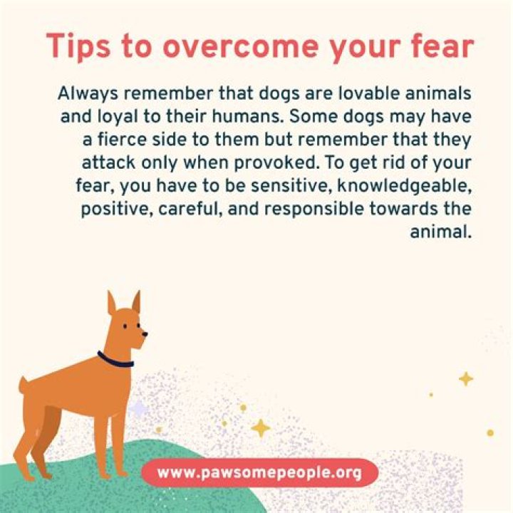 How do I get my puppy to stop being scared of people?