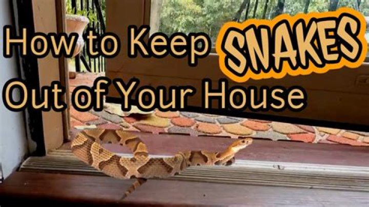 How do I keep snakes from coming under my door?