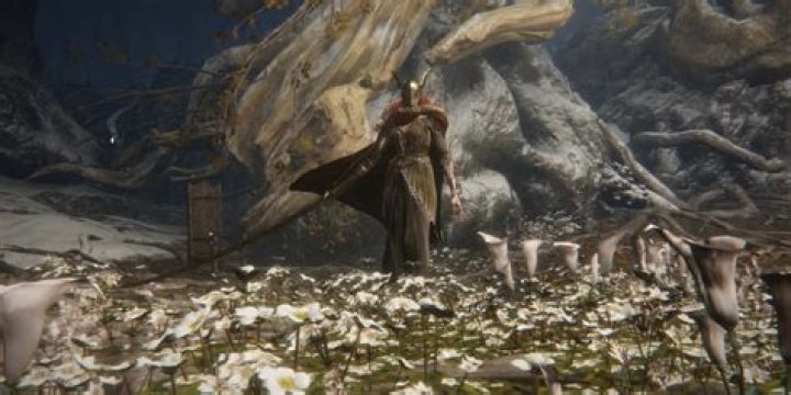 How do you get the pureblood Demon Soul in Demon's Souls?