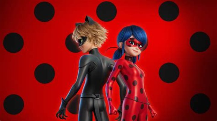 How do you keep a ladybug as a pet?