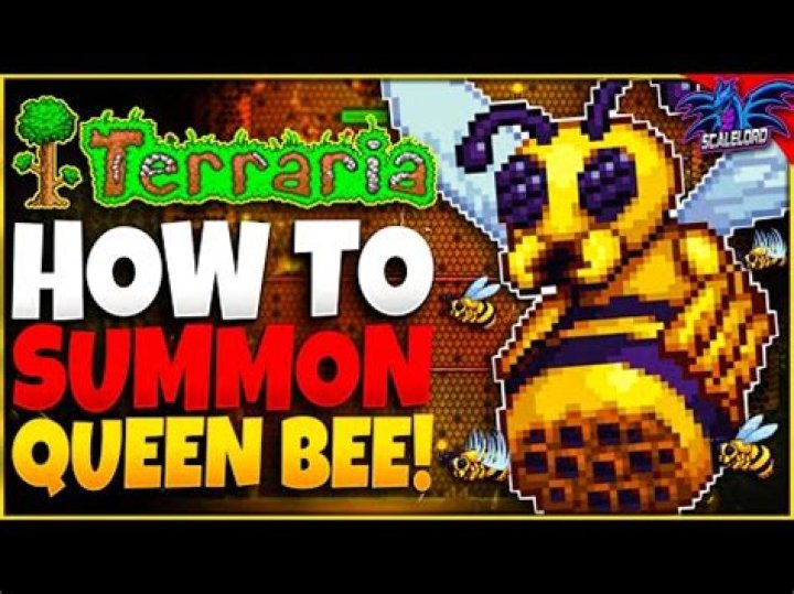 How do you make a queen bee?