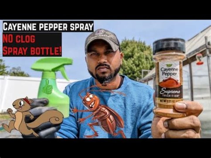 How do you make cayenne pepper spray for squirrels?