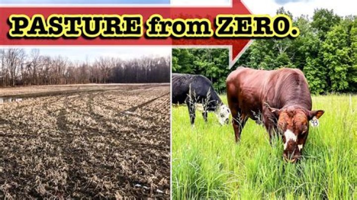 How do you make pastures grow faster?