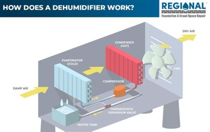 How much does a dehumidifier reduce humidity?