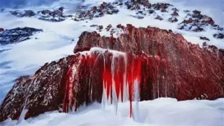 Is Antarctica a glacier?
