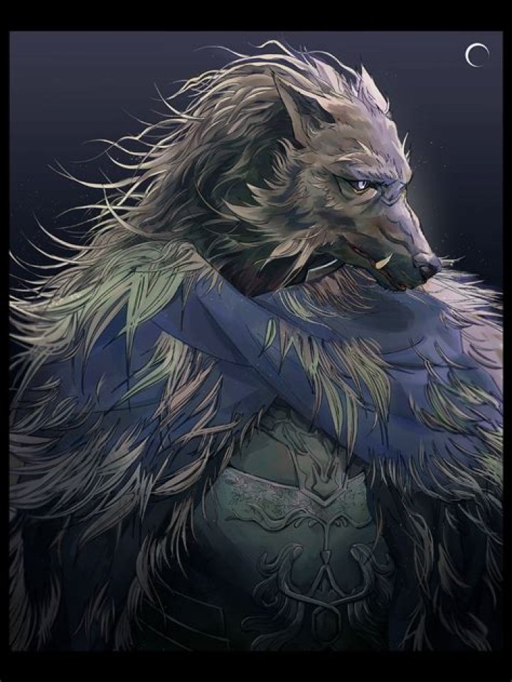 Is Blaidd a werewolf?