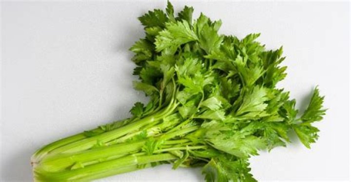 Is celery high in oxalates?