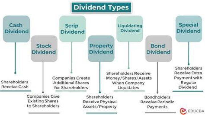 Is dividend distributed profit?