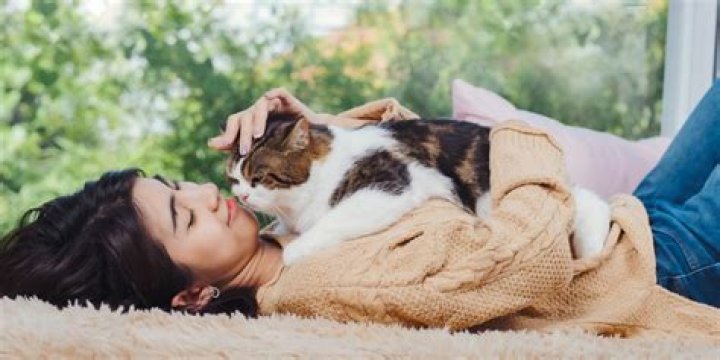 Is snuggling with a cat good for you?