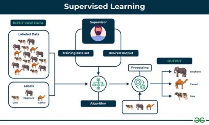 Is SVM supervised or unsupervised?