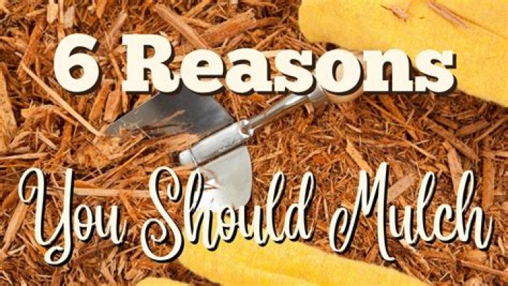 Should you replace mulch every year?