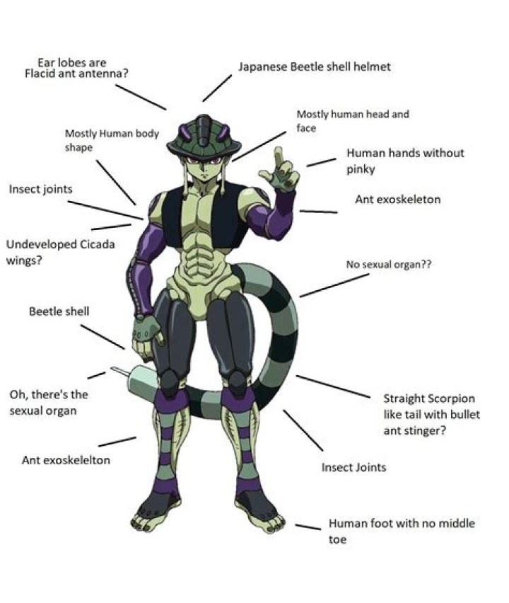 What animal is Meruem?