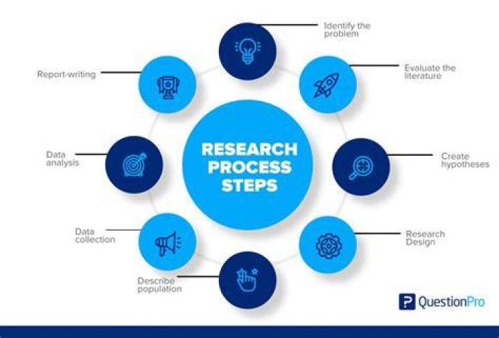 What are the 11 research process?