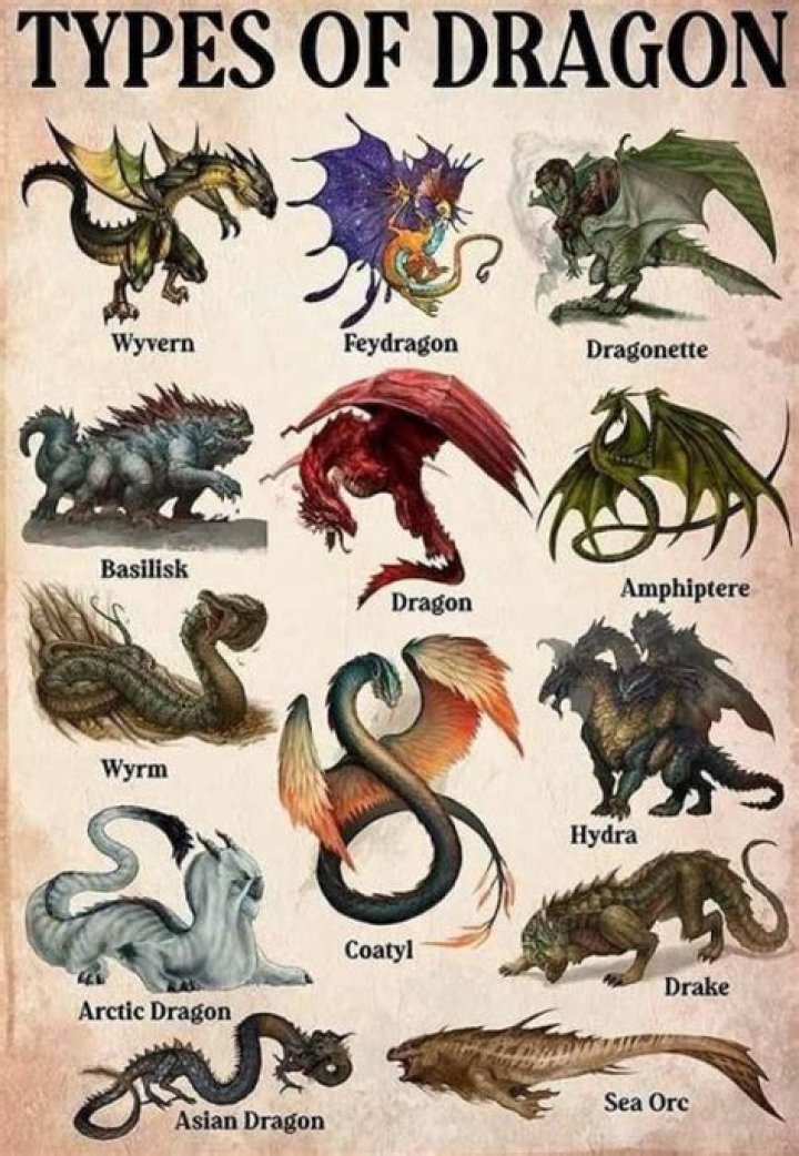 What are the 8 types of magic?