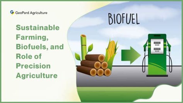 What are the environmental impacts of biofuel production?