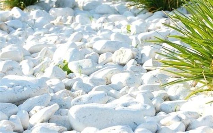 What are the white rocks in soil?