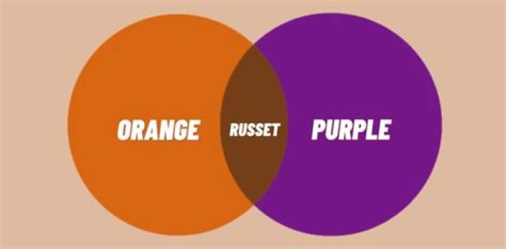 What do purple and orange make?