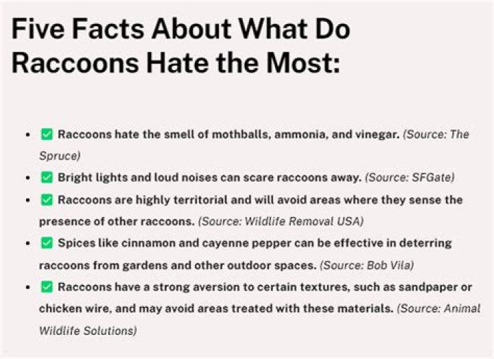 What do raccoons hate the most?