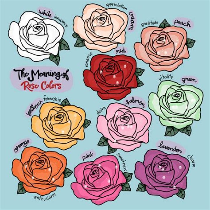 What does a GREY rose mean?