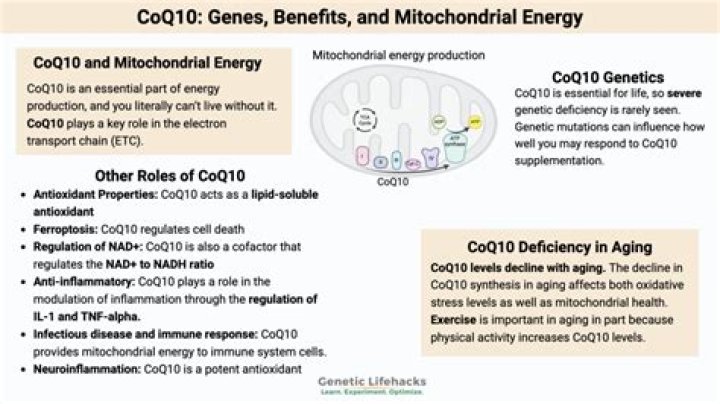 What does CoQ10 do to your brain?