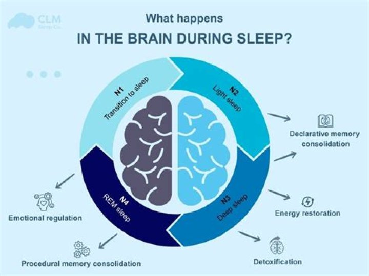 What happens in the brain with ADD?