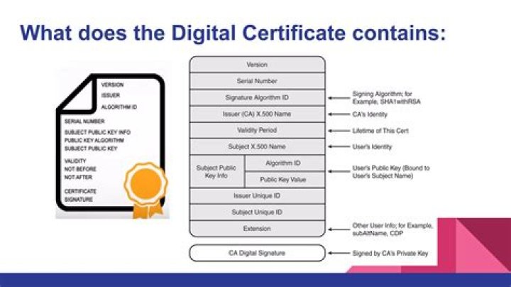 What information is contained in a digital certificate?