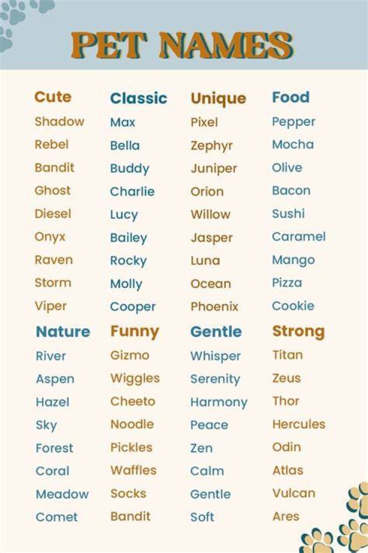 What is a good pet name?