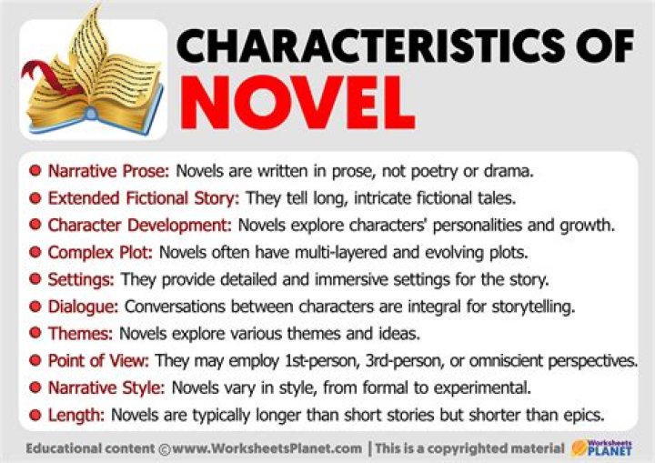 What is a novel and its characteristics?