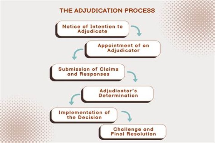 What is administrative adjudication explain the problems of administrative adjudication in India?