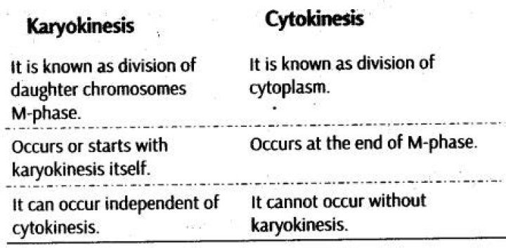 What is karyokinesis in biology class 11?