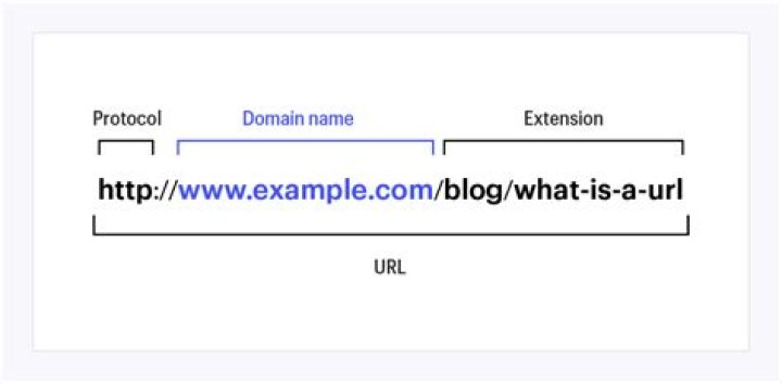 What is Network URL for VLC?