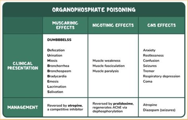 What is the antidote for alcohol poisoning?