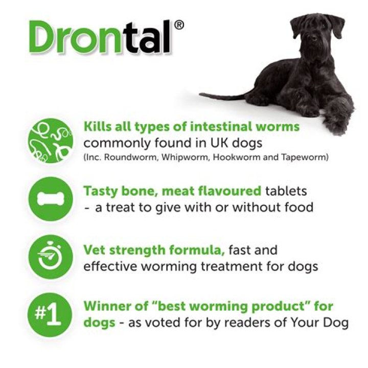 What is the best dog wormer?
