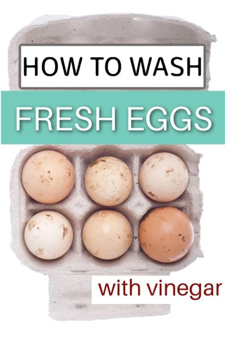 What is the best way to wash fresh eggs?