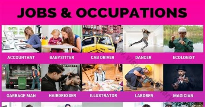 What is the most fun job in the world?