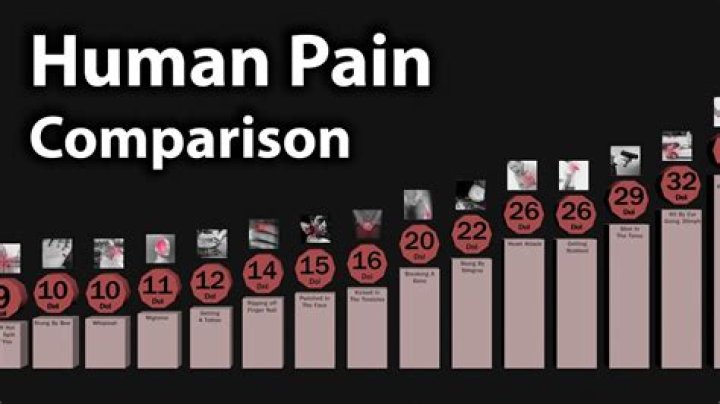 What is the most painful thing on earth?