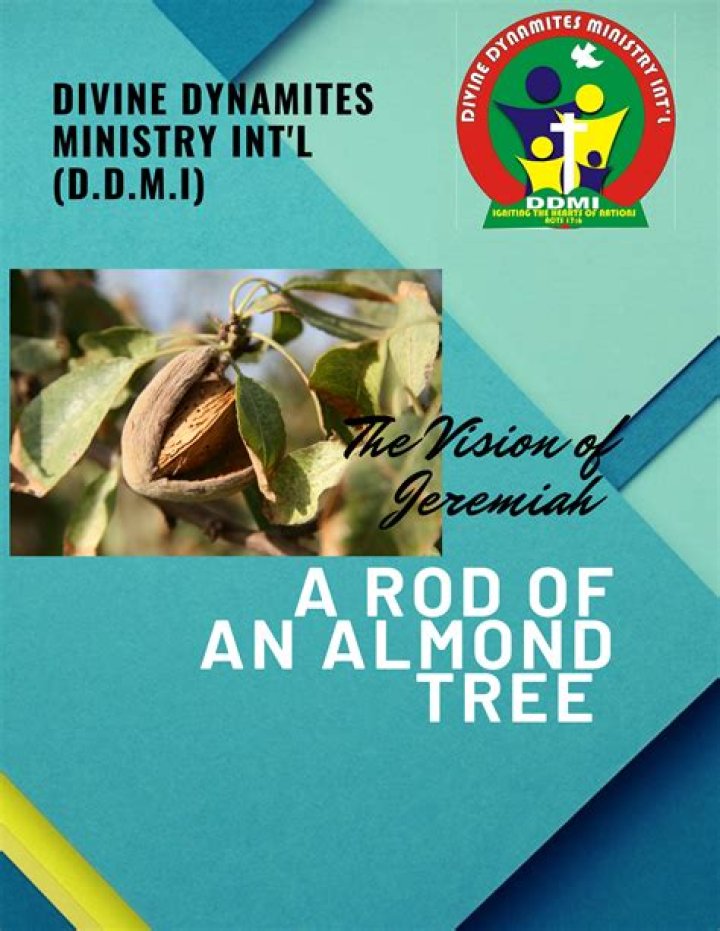 What is the rod of an almond tree?