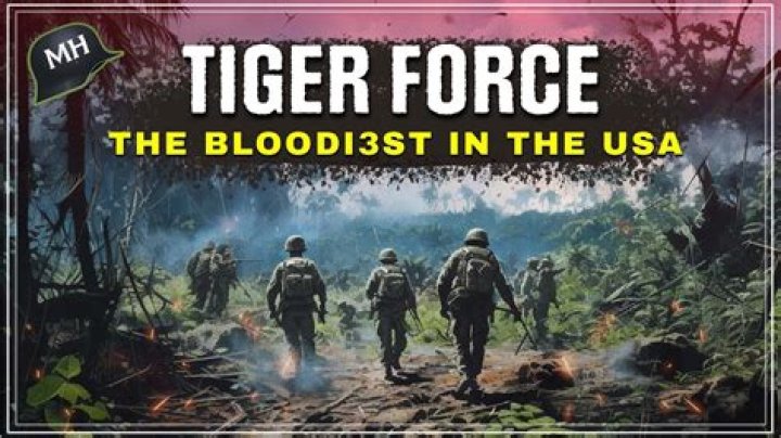 What was the Tiger Force in Vietnam?