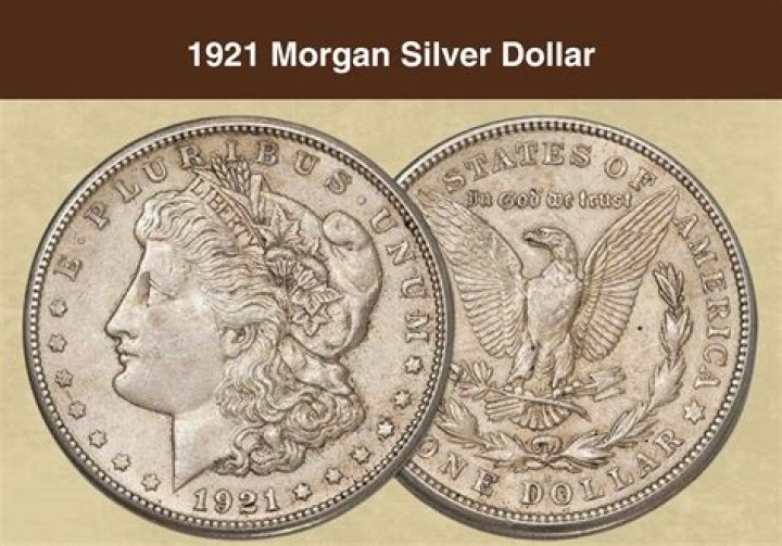What year is the rarest Morgan Dollar?